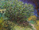 Bushes 1889 - Vincent van Gogh reproduction oil painting