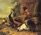 Birds in a Park 1686 - Melchior de Hondecoeter reproduction oil painting