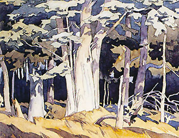 Old Maple - A.J. Casson reproduction oil painting