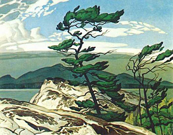 White Pine 1957 - A.J. Casson reproduction oil painting