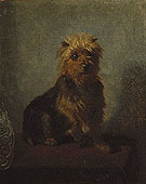 Chadwicks Dog - Abbott Henderson Thayer