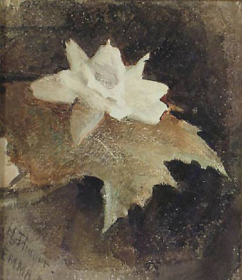 Waterlily 1881 - Abbott Henderson Thayer reproduction oil painting
