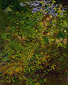 Peacock in the Woods 1907 - Abbott Henderson Thayer reproduction oil painting