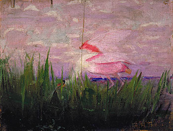 Roseate Spoonbill c1905 - Abbott Henderson Thayer reproduction oil painting