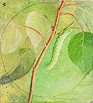 Sphinx Caterpillar I - Abbott Henderson Thayer reproduction oil painting