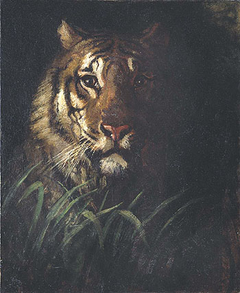Tigers Head c1874 - Abbott Henderson Thayer reproduction oil painting