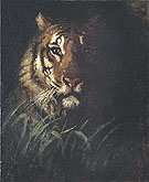 Tigers Head c1874 - Abbott Henderson Thayer