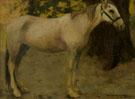 Untitled Study of a Horse - E Irving Couse