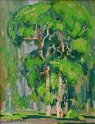 Cottonwood Trees - W Herbert Dunton