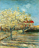 Orchard in Blossom B - Vincent van Gogh