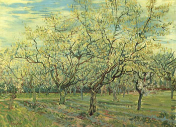 Orchard with Blossoming Plum Tree 1888 - Vincent van Gogh reproduction oil painting