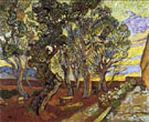 The Garden of Saint Pauls Hospital 1889 - Vincent van Gogh