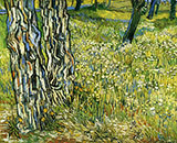 Tree Trunks in the Grass c1890 - Vincent van Gogh reproduction oil painting