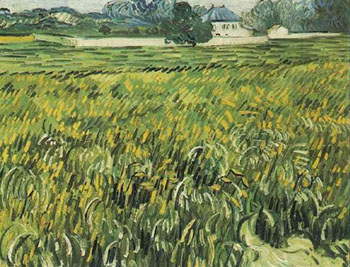 Wheat Field at Auvers with House - Vincent van Gogh reproduction oil painting