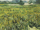 Wheat Field at Auvers with House - Vincent van Gogh