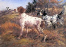 A German Short Haired Pointer and Two English Setters in a Landscape - Edmund Henry Osthaus