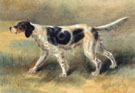 An English Setter - Edmund Henry Osthaus reproduction oil painting