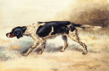 An English Setter at Point - Edmund Henry Osthaus reproduction oil painting