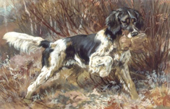 An English Settr Retrieving - Edmund Henry Osthaus reproduction oil painting