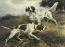 A Pointer and English Setter - Edmund Henry Osthaus reproduction oil painting