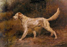 Commissioner a Champion English Setter - Edmund Henry Osthaus