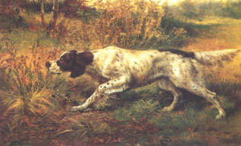 English Setter Pointing - Edmund Henry Osthaus reproduction oil painting