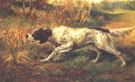 English Setter Pointing - Edmund Henry Osthaus reproduction oil painting
