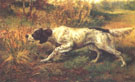 English Setter Pointing - Edmund Henry Osthaus