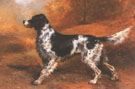 English Setter Toledo Blade - Edmund Henry Osthaus reproduction oil painting