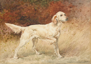 Setter - Edmund Henry Osthaus reproduction oil painting