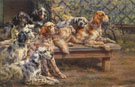 Seven English Setters - Edmund Henry Osthaus reproduction oil painting