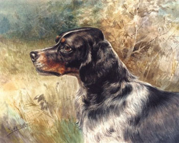 The English Setter - Edmund Henry Osthaus reproduction oil painting