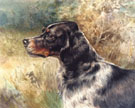 The English Setter - Edmund Henry Osthaus reproduction oil painting