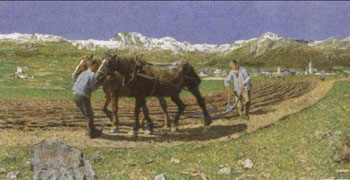 Ploughing - Giovanni Segantini reproduction oil painting