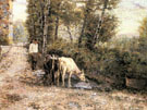 Cows Watering at A Quiet Pool - Eugenio Zampighi