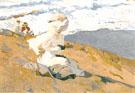 Snapshot Biarritz 1906 - Joaquin Sorolla reproduction oil painting