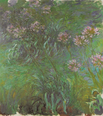 Agapanthus 1916 - Claude Monet reproduction oil painting