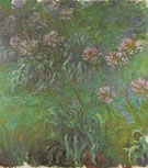 Agapanthus 1916 - Claude Monet reproduction oil painting