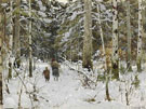 Gathering Branches in Winter - Konstantin Yakovlevich Kryzhitsky