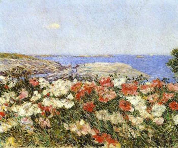 Poppies Isles of Shoals - Childe Hassam reproduction oil painting
