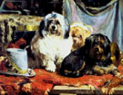 Chien Delions - Charles Van Den Eycken