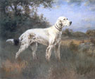 An English Setter in a Wooded Landscape 1922 - Percival Leonard Rosseau reproduction oil painting