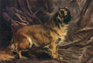 A Pekingese - Percival Leonard Rosseau