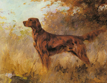 A Red Setter - Percival Leonard Rosseau reproduction oil painting