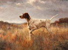 English Pointer Jimmie De K 1922 - Percival Leonard Rosseau