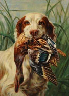 Setter and Mallard 1910 - Percival Leonard Rosseau reproduction oil painting