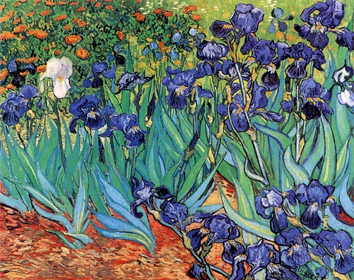 Irises in Garden St. Remy - Vincent van Gogh reproduction oil painting