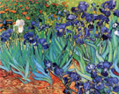 Irises in Garden St. Remy - Vincent van Gogh